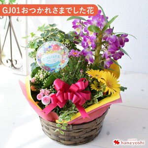 yŒZzB 14Yz G߂̂܂ ԔƃO[ ̊񂹓 MTCY t[oXPbg A  ϗtA t[Mtg a  Mtg  a v[g  