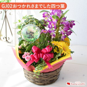 yŒZzB 14Yz G߂̂܂ԔƃO[̊񂹓LTCY t[oXPbg  A Mtg  a v[g c   A a j z