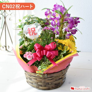 yŒZzB 14Yz G߂̂܂ԔƃO[̊񂹓LTCY t[oXPbg  A Mtg  a v[g c   A a j z