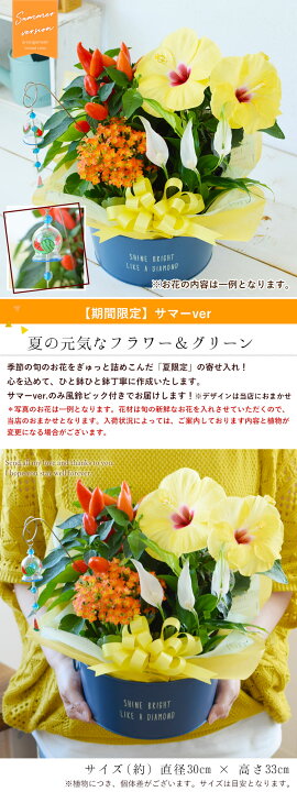 楽天市場 あす楽対応 季節のおまかせ花鉢とグリーンの寄せ入れmサイズ フラワーバスケット 鉢植え フラワーギフト お誕生日 お花 誕生日 プレゼント 女性 女友達 母 祖母 お祝い 花 退職祝い 送別会 記念日 鉢花 ギフト おしゃれ 新築祝い 引っ越し祝い 結婚記念日 妻 楽天市場 あす楽対応 季節のおまかせ花鉢とグリーンの寄せ入れmサイズ フラワーバスケット 鉢植え フラワーギフト お誕生日 お花 誕生日 プレゼント 女性 女友達 母 祖母 お祝い 花 退職祝い 送別会 記念日 鉢花 ギフト おしゃれ 新築祝い 引っ越し祝い 結婚記念日 妻