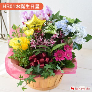 zB G߂̂܂ԔƃO[̊񂹓 LLTCY  A t[oXPbg a  JX J j  t[Mtg j   a v[g c 