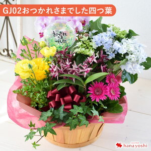 zB G߂̂܂ԔƃO[̊񂹓 LLTCY  A t[oXPbg a  JX J j  t[Mtg j   a v[g c 