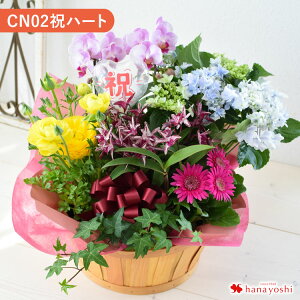 zB G߂̂܂ԔƃO[̊񂹓 LLTCY  A t[oXPbg a  JX J j  t[Mtg j   a v[g c 