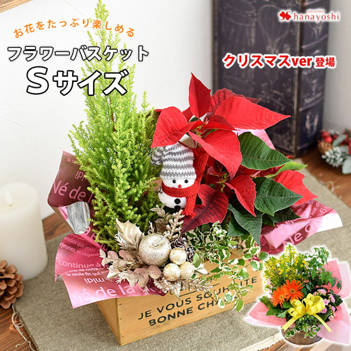 楽天市場 あす楽対応 季節のおまかせ花鉢とグリーンの寄せ入れ Sサイズ フラワーバスケット 鉢花 鉢植え ギフト おしゃれ 花 誕生日 プレゼント 女性 母 祖母 義母 退職祝い 男性 転勤 結婚祝い 出産 お祝い 新築祝い 引っ越し祝い お誕生日 お花 フラワーギフト 贈り物
