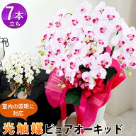 室内照明に対応！光触媒加工 ピュアオーキッド 胡蝶蘭 コチョウラン 洋蘭＜7本立ち＞造花 胡蝶蘭 花 開業…