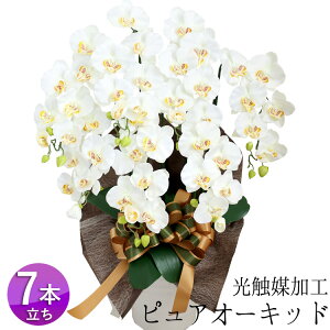 ƖɑΉIG}H sAI[Lbh Ӓ R`E m7{ Ӓ  JƏj Nj J@j ړ]j ACj j JX J Mtg  a 