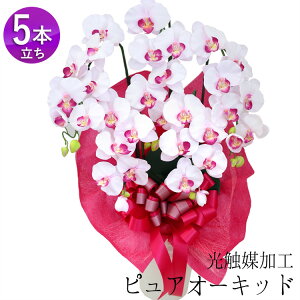 ƖɑΉIG}H sAI[Lbh Ӓ R`E m5{  Ӓ  JƏj Nj J@j ړ]j ACj j JX J Mtg  a 