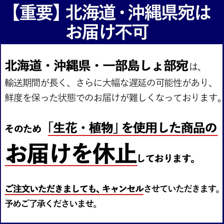 楽天市場 クール便でお届け 誕生花を使ったアレンジメント 9月 トルコキキョウ 生花アレンジmサイズ 誕生日プレゼント 女性 母 祖母 義母 女友達 男性 父 花 誕生日 お祝い フラワー ギフト お誕生日 お花 米寿 古希 還暦 喜寿 祝い 還暦祝い 誕生日ギフト 冷蔵便