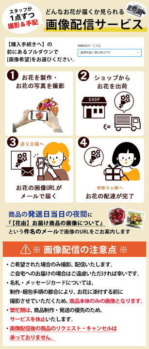 楽天市場 クール便でお届け 花言葉は 永遠の幸福 花瓶いらずの花束 そのままブーケwith Moondust ムーンダスト カーネーション 花 結婚祝い お誕生日 お花 誕生日 プレゼント 女性 母 祖母 結婚記念日 妻 退職祝い 敬老の日 花束 ギフト 古希 喜寿 卒寿 お祝い 昇進