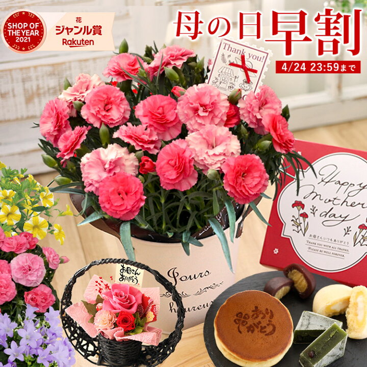 楽天市場 エントリー5倍 クーポン 早割 母の日 プレゼント 花 ギフト 送料無料 カーネーション プリザーブドフラワー 組合せ39通り 13種類から選べるお花と3種類から選べる 花とスイーツ セット 母の日プレゼント 鉢植え 母の日ギフト 花鉢 鉢花 アレンジメント