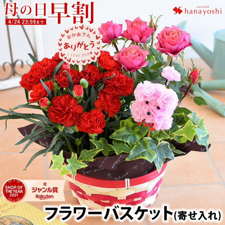 楽天市場 早割 母の日 プレゼント ギフト 花 22 送料無料 フラワーバスケット カーネーション ミニバラなど人気の花鉢 がぎゅっ ふわふわプードルが笑顔をお届け 寄せ鉢 母の日限定 母の日ギフト 鉢植え 花 鉢 鉢花 犬 母 義母 フラワーマーケット花由