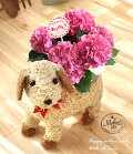 母の日のプレゼントに花と犬モチーフのものを贈りたいと思ってます。可愛いものがあれば教えて！