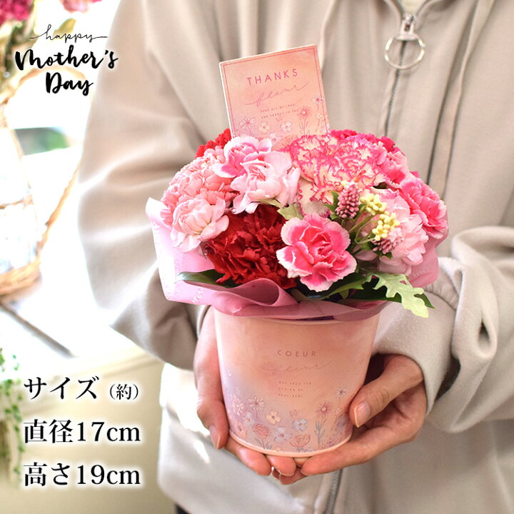 楽天市場 母の日 花 カーネーション プレゼント ギフト 送料無料 選べる 母の日 生花フラワーアレンジメント うちのお母さんは元気なレッド ピンク 優しいパステル アレンジメント お花 母の日ギフト 母の日プレゼント アレンジ 5 3 5 8の間にお届け フラワー