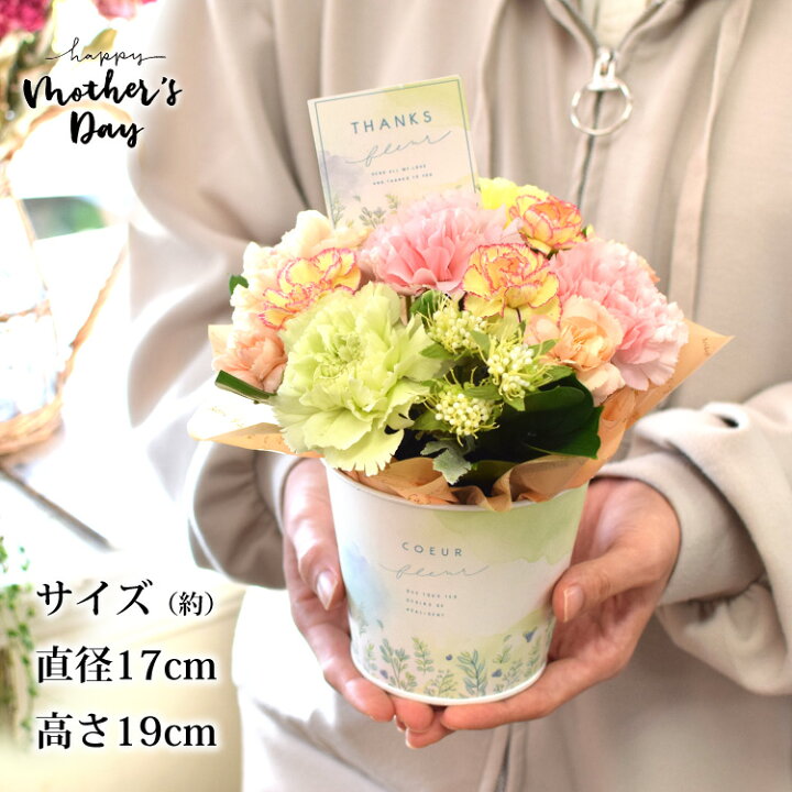 楽天市場 母の日 花 カーネーション プレゼント ギフト 送料無料 選べる 母の日 生花フラワーアレンジメント うちのお母さんは元気なレッド ピンク 優しいパステル アレンジメント お花 母の日ギフト 母の日プレゼント アレンジ 5 3 5 8の間にお届け フラワー