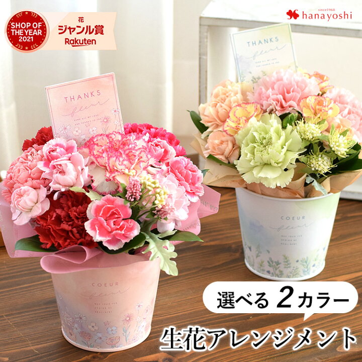 楽天市場 母の日 花 カーネーション プレゼント ギフト 送料無料 選べる 母の日 生花フラワーアレンジメント うちのお母さんは元気なレッド ピンク 優しいパステル アレンジメント お花 母の日ギフト 母の日プレゼント アレンジ 5 3 5 8の間にお届け フラワー