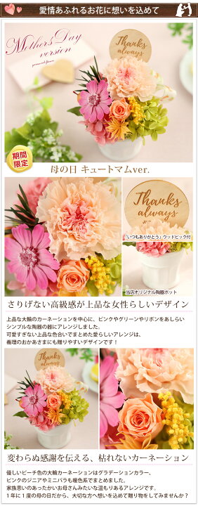 楽天市場 あす楽12時まで受付 プリザーブドフラワー 選べる種 パレット バラ 誕生日 プレゼント 花 女性 母 祖母 女友達 ギフト おしゃれ お祝い 結婚祝い 結婚記念日 妻 定年 退職祝い ブリザードフラワ ギフト お花 母の日 ギフト アレンジメント フラワー
