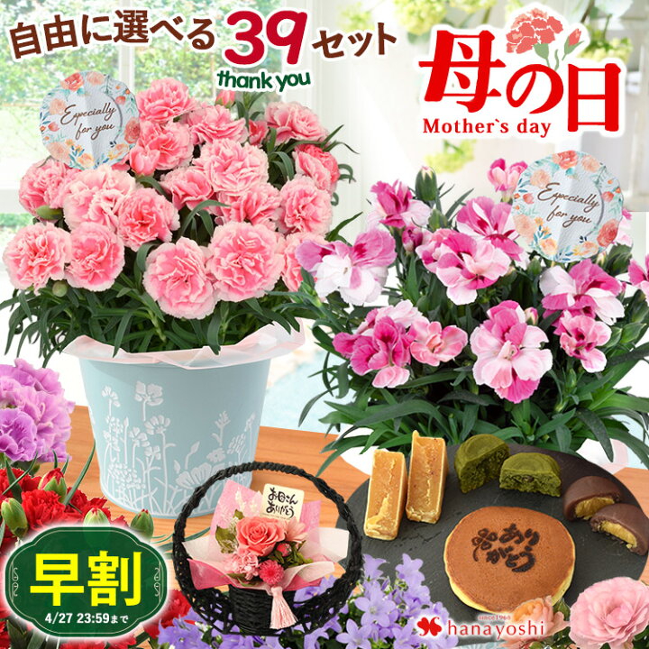 楽天市場】母の日 早割 花 プレゼント カーネーション スイーツ セット  