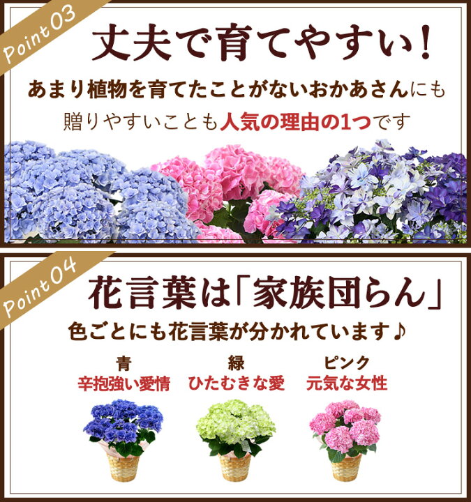 楽天市場】【全商品P絶対5倍☆要エントリー】早割 母の日 プレゼント 