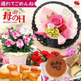 遅れてごめんね 母の日 花とスイーツ 和風 プリザーブドフラワー 間に合う 花 スイーツ セット 母の日ギフト 花とスイーツセット カーネーション バラ 鉢植え 鉢花 花鉢 プレゼント ギフト 花とお菓子 お菓子 オシャレ おしゃれ 母 義母