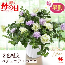 特 早割 母の日 プレゼント 花 鉢植え ペチュニア パニエ 3色植え 5号 鉢花ギフト 花鉢 お花 鉢花 長く咲く 珍しい カーネーション以外 玄関 限定 ギフト 母の日ギフト 母の日プレゼント 母 義母 お母さん 2026 送料無料 フラワーマーケット花由