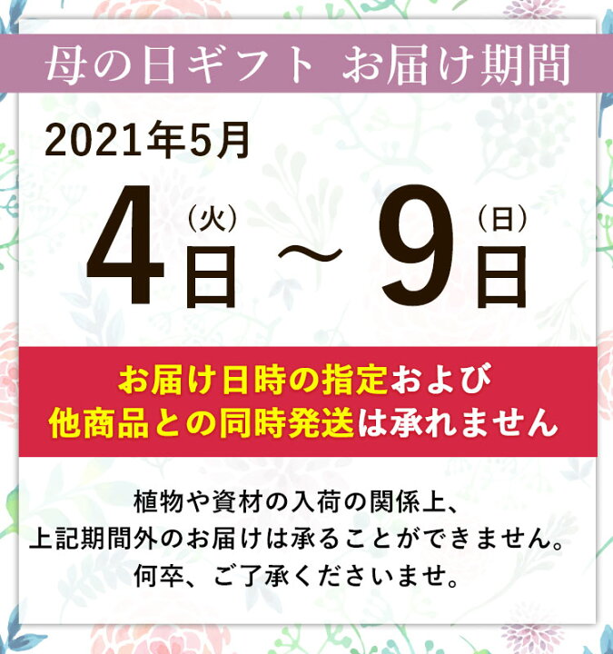 楽天市場 母の日 ギフト プレゼント 花 送料無料 希少品種 母の日 大栄花園さんの アジサイ ５号 Inバスケット 5 4 5 9の間にお届け あじさい 鉢花 母の日 鉢植え お花 紫陽花 母の日ギフト 母の日プレゼント フラワーマーケット花由