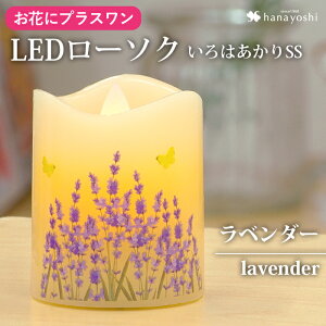 {î݂̍w͂ł܂񁦁yԂɃvXz LEDLh u͂ SS v d dp ~jd LED[\N LED Cg Mtg   @   ͂