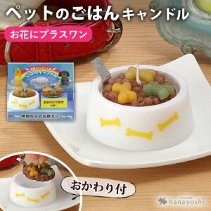 Lĥ݂̍w͂ł܂񁦁yԂɃvXz ybĝ͂Lh d  Lh ybg Mtg p ͂ԂɏBXقǃ[ł