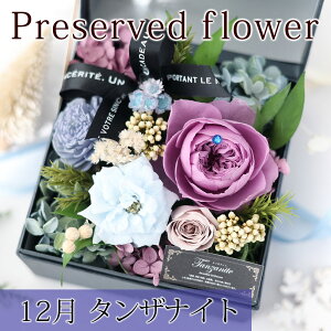 zB  vU[uht[ {bNX hana cube a ͂Ȃ v[g Mtg   {bNXt[ a11  җj ސE j  y y