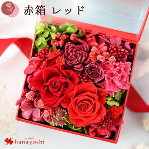 zB  vU[uht[ {bNX hana cube a ͂Ȃ v[g Mtg   {bNXt[ a10  җj j  y y