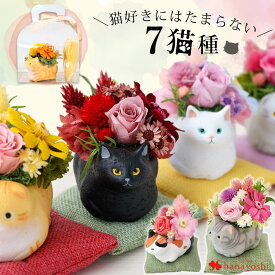 翌日配達 プリザーブドフラワー 和風 くつろぎねこ 7種 猫 花 ネコ プレゼント お祝い お花 枯れない 花 誕生日 猫好き ブリザードフラワー ギフト 長寿祝い 還暦 古希 喜寿 贈り物 動物 アニマル ペット 黒猫 白猫 三毛猫 アメショ 退職祝い 開店祝い