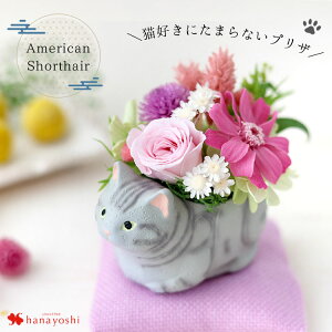 zB vU[uht[ a 났˂ 7 L  lR v[g j  ͂Ȃ  a LD uU[ht[ Mtg j җ Ê  蕨  Aj