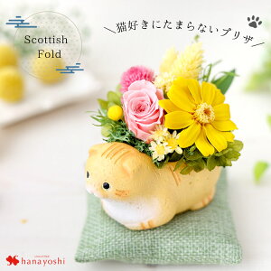 zB vU[uht[ a 났˂ 7 L  lR v[g j  ͂Ȃ  a LD uU[ht[ Mtg j җ Ê  蕨  Aj