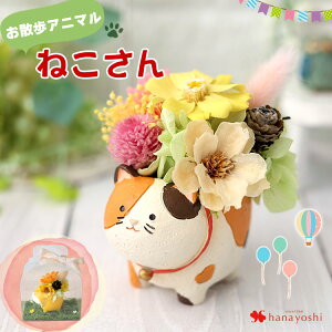 vU[uht[ UAj} 6 L j  ͂Ȃ   L a a v[g  uU[ht[ Mtg ybg OєL Č p_ N} nlY~  