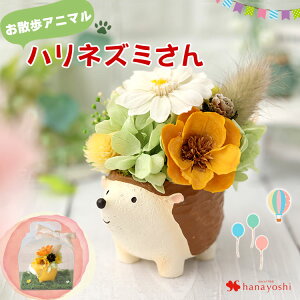 vU[uht[ UAj} 6 L j  ͂Ȃ   L a a v[g  uU[ht[ Mtg ybg OєL Č p_ N} nlY~  