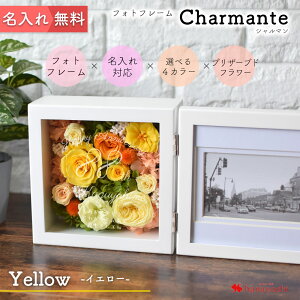  Mtg ʐ^ tHgt[ Charmante V} CG[ vU[uht[  P Ď j v[g e ep i  j LOi җj P 