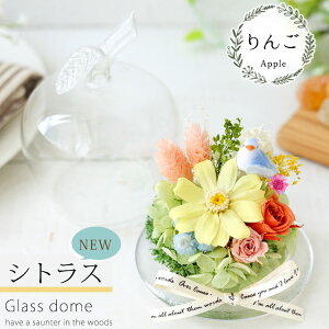 zB vU[uht[ K^̃`[tt KXh[ h[ ͂Ȃ  a v[g a j Yx   Mtg Mtg uU[ht[ j