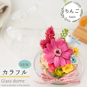 zB vU[uht[ K^̃`[tt KXh[ h[ ͂Ȃ  a v[g a j Yx   Mtg Mtg uU[ht[ j