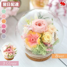 翌日配達 14時〆 プリザーブドフラワー ガラスドーム バブルドーム LUMIE-ルミエ ブリザードフラワー ギフト 花 誕生日 プレゼント お誕生日 おしゃれ 枯れない バラ 結婚祝い 結婚記念日 送料無料 退職 退職祝い 開店祝い 開店 祝い 春 愛妻の日 卒業祝い 合格祝い
