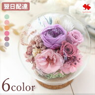翌日配達 プリザーブドフラワー ガラスドーム 「LUMIE-ルミエ」 花 誕生日 ギフト ドーム プレゼント お…