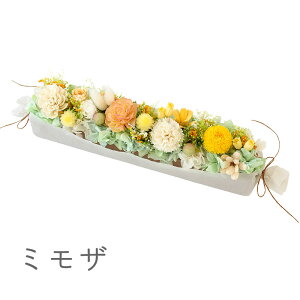 NEW zB vU[uht[ og t[ O o ͂Ȃ  a v[g   uU[ht[  Mtg  JX J@ Vz ސE j  