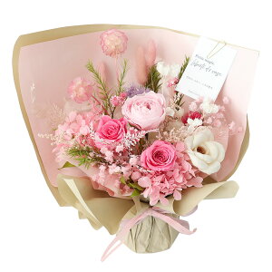 zB 14Y vU[uht[ ̂܂܃u[P(R) Breeze ͂Ȃ ԑ  a v[g   t[Mtg   i` 蕨 j Vzj  Mt