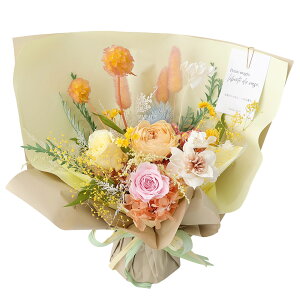 zB 14Y vU[uht[ ̂܂܃u[P(R) Breeze ͂Ȃ ԑ  a v[g   t[Mtg   i` 蕨 j Vzj  Mt