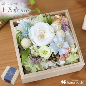 zB vU[uht[ {bNX ˔   hanacube ͂Ȃ  v[g  t[{bNX {bNXt[  ybg 䋟  l\ @v  蕨 