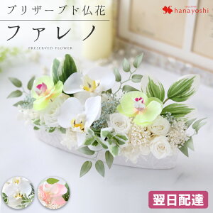 zB  vU[uht[ A[eBtBVt[  pAWg t@m dp  ͂Ȃ  {  uU[ht[ p  A