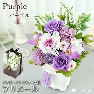 zB  ͂Ȃ  vU[uht[  wPriere vG[[Fx3J[  dp d 傫 傫 uU[ht[ ފ H   vU[uh @