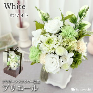 zB  ͂Ȃ  vU[uht[  wPriere vG[[Fx3J[  dp d 傫 傫 uU[ht[ ފ H   vU[uh @