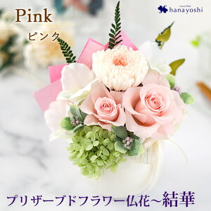 zB vU[uht[    AWg u (䂢) v P[X ͂Ȃ   @  AW uU[ht[   O l\