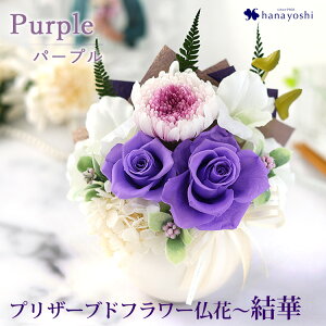 zB vU[uht[    AWg u (䂢) v P[X ͂Ȃ   @  AW uU[ht[   O l\