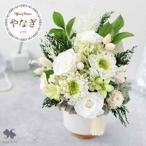 zB   vU[uht[  傫 ͂Ȃ ui n1 Ƃv   pAWg 傫 uU[ht[  Mtg @  