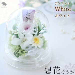 zB    vU[uht[ h[ uz vuv dp ~jd d ͂Ȃ AW  t[AW uU[ht[   l\ 